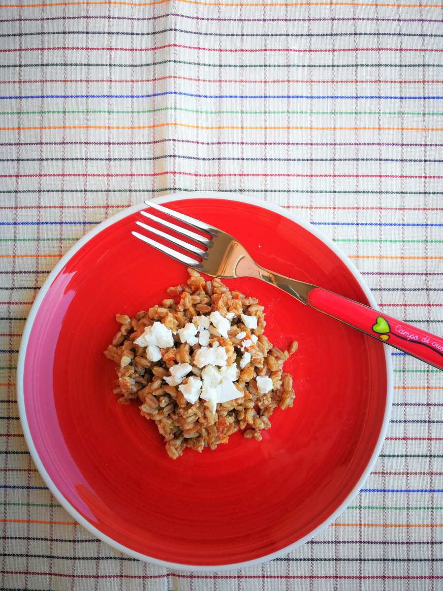Insalata di farro con pesto di pomodori secchi e sedano Quaderni Golosi