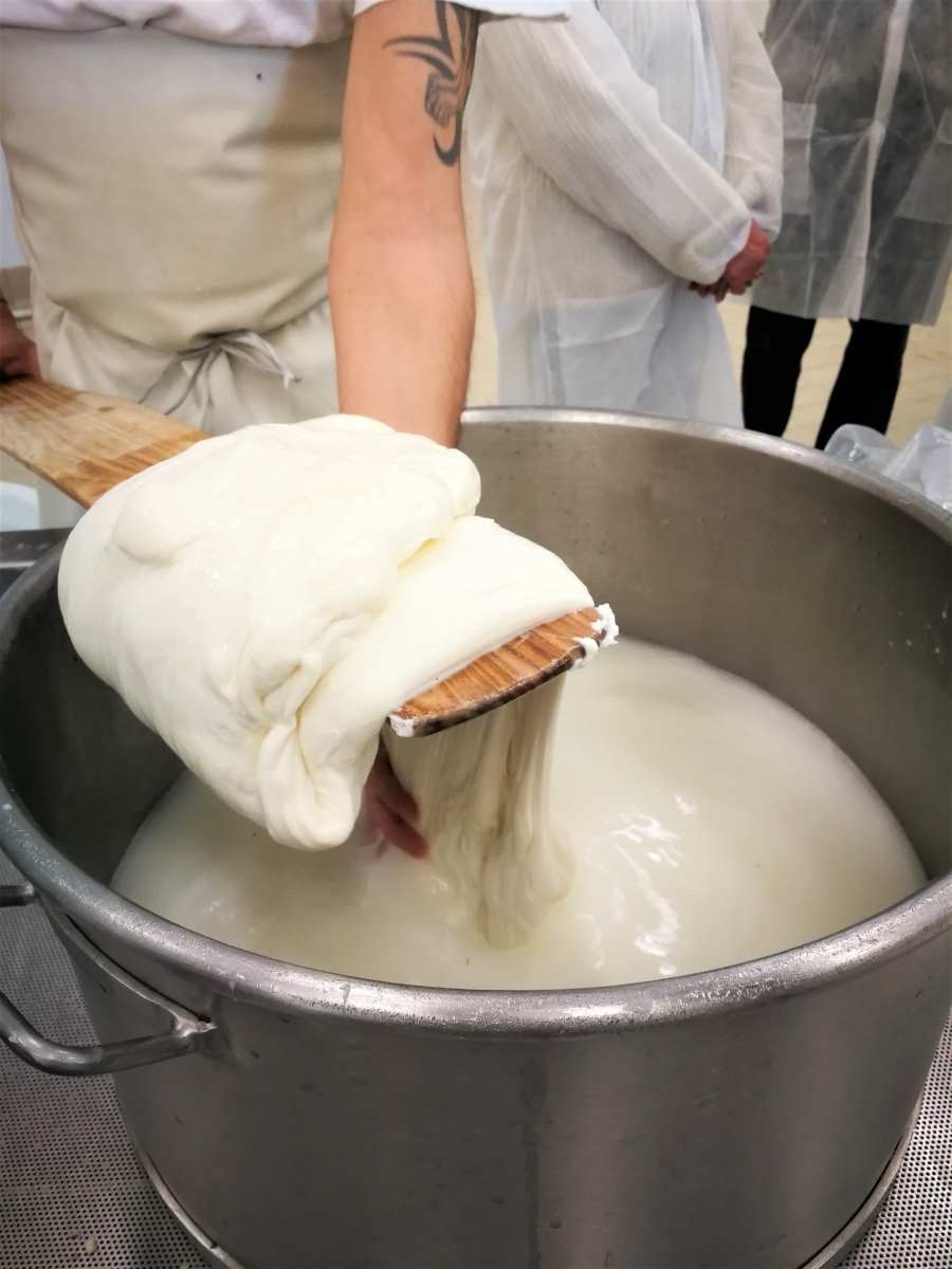 Provolone Valpadana…quando il Sud incontra il Nord!